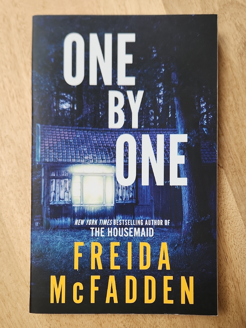 Freida McFadden One By One Book